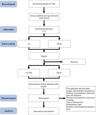 Effectiveness of acupuncture combined with auricular acupressure in the treatment of postoperative ileus: a study protocol for a randomized controlled trial